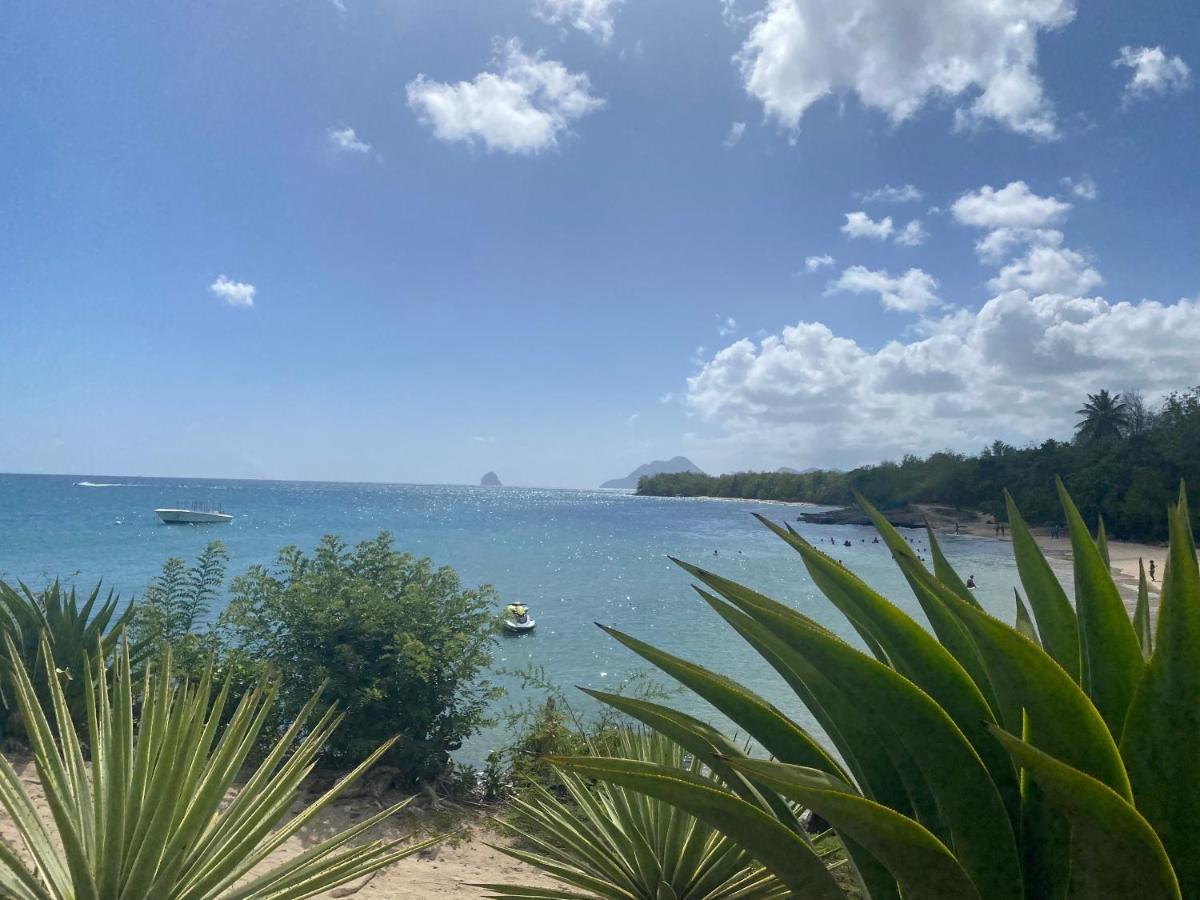 Studio Rdc La Desirade Martinique Acces Direct Plage Sainte-Luce Eksteriør billede