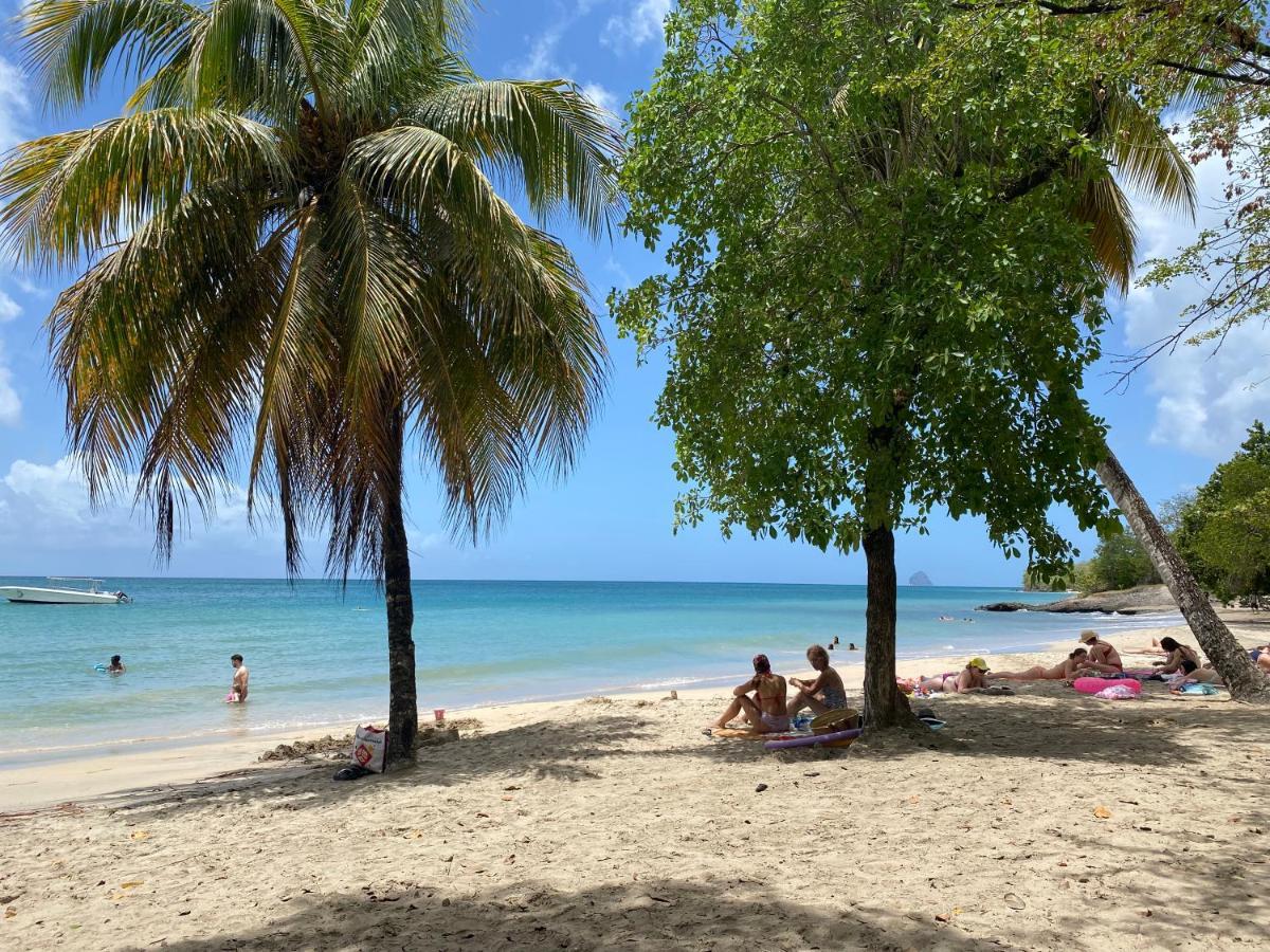 Studio Rdc La Desirade Martinique Acces Direct Plage Sainte-Luce Eksteriør billede