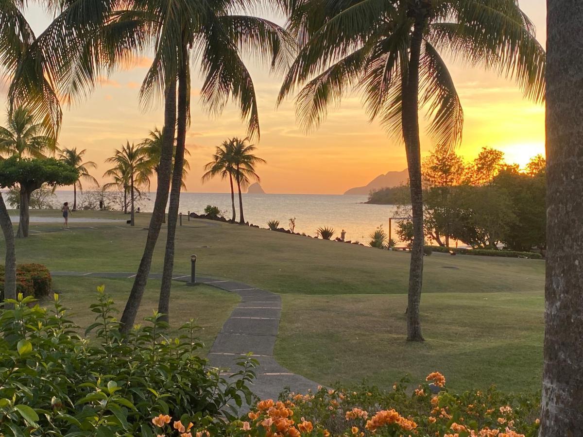 Studio Rdc La Desirade Martinique Acces Direct Plage Sainte-Luce Eksteriør billede